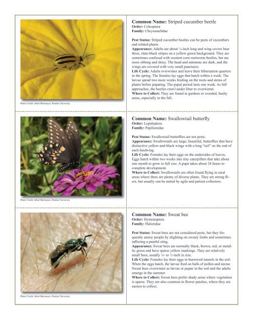 to download pdf - Purdue Extension Entomology - Purdue University