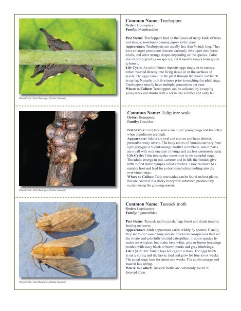 to download pdf - Purdue Extension Entomology - Purdue University