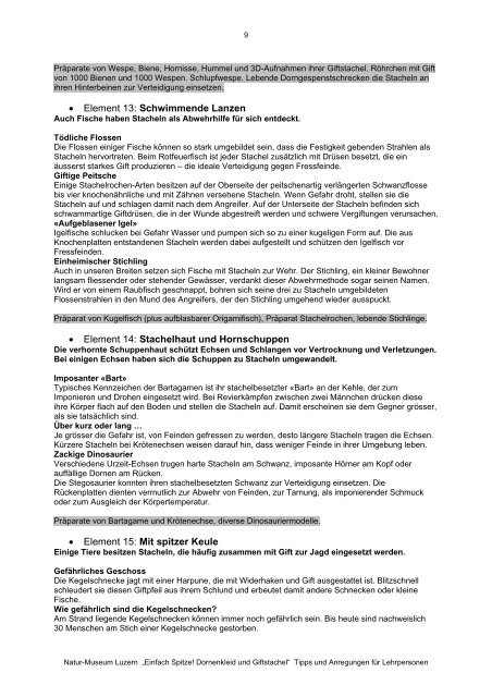 pdf (2 MB) - Naturmuseum Luzern