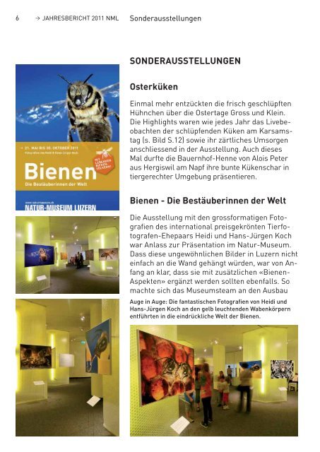 pdf (1.2 MB) - Naturmuseum Luzern