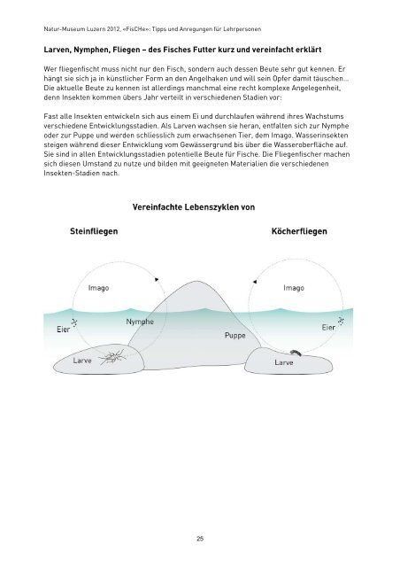 pdf (1 MB) - Naturmuseum Luzern