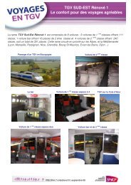 Rame TGV Sud-Est 1.pdf - Rail Europe