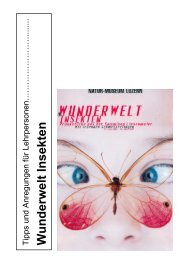 Wunderwelt Insekten - Naturmuseum Luzern