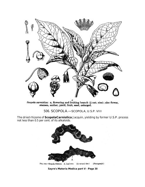 SAYRE'S MATERIA MEDICA - Part V - Southwest School of ...