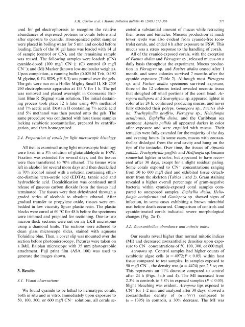 Changes in zooxanthellae density, morphology, and mitotic index in ...