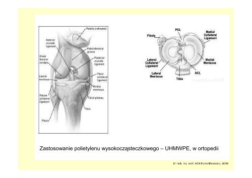 (Microsoft PowerPoint - wyk\263ad 1 wprowadzenie.ppt)