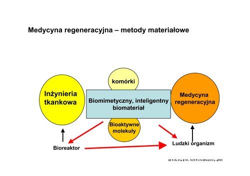 (Microsoft PowerPoint - wyk\263ad 1 wprowadzenie.ppt)