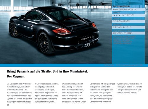 Winterfaszination BroschÃ¼re (PDF) - Porsche