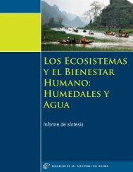 LOS EcOSiStEMAS y El BiENEStAR HUMANO ... - UN-Water