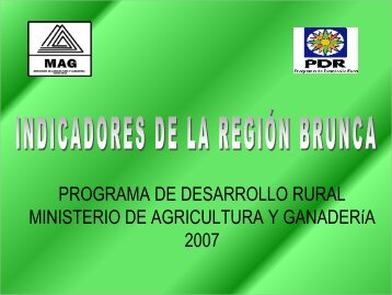 indicadores de desarrollo region brunca - Territorios ...