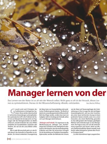 Manager lernen von der Natur - Internationales Bionik Zentrum