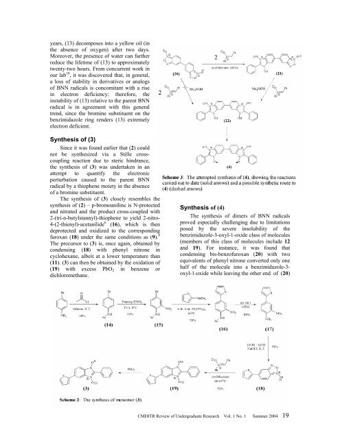 CMDITR Review of Undergraduate Research - Pluto - University of ...