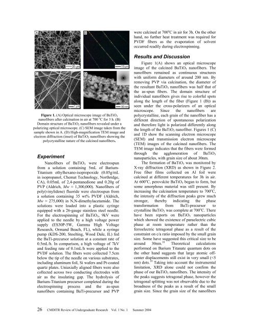 CMDITR Review of Undergraduate Research - Pluto - University of ...