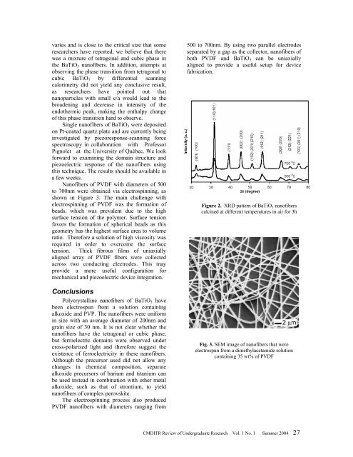 CMDITR Review of Undergraduate Research - Pluto - University of ...