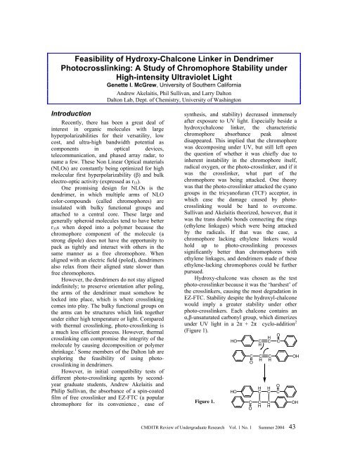 CMDITR Review of Undergraduate Research - Pluto - University of ...