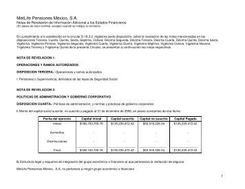 MetLife Pensiones MÃ©xico, S.A.