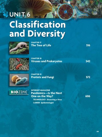 Classification and Diversity