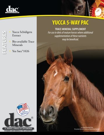 YUCCA 5-WAY PAC - Direct Action Company