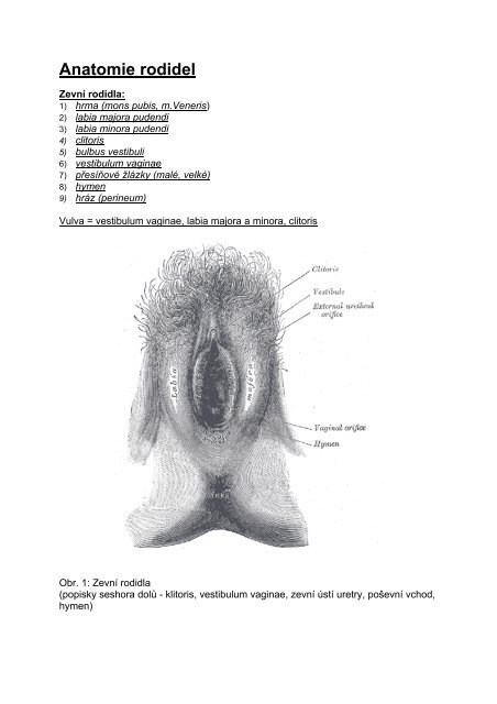 Anatomie rodidel - eAMOS
