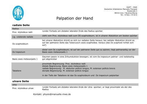 Palpation der Hand - MWE Physio