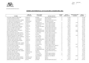 Planilla sueldos Salud - Ilustre Municipalidad de Paillaco