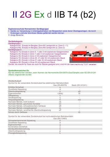 II 2G Ex d IIB T4 (b2)