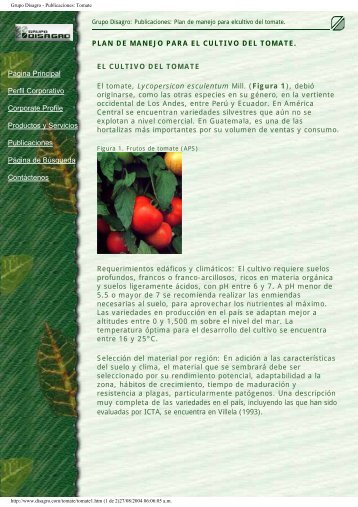 Plan de manejo para el cultivo del tomate