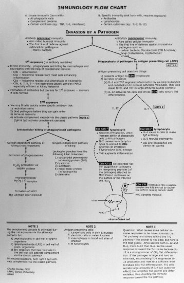 Immunology Chart