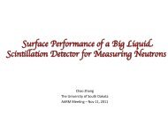 Surface Performance of a Big Liquid Scintillation Detector for ...