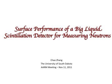 Surface Performance of a Big Liquid Scintillation Detector for ...