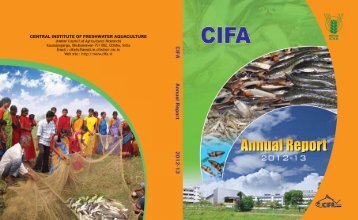 Cifa Annual Report 2012