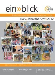 Einblick 2012 - Behindertenwerk Spremberg