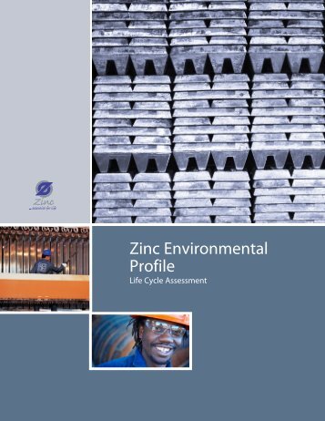 Zinc Environmental Profile - Life Cycle Assessment - International ...