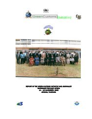 Arusha - Green Customs Initiative