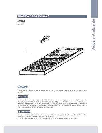 Trampa para moscas (Brasil ) - Ideassonline.org