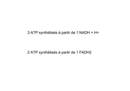 La Phosphorylation oxydative - IBMC