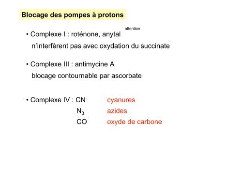 La Phosphorylation oxydative - IBMC