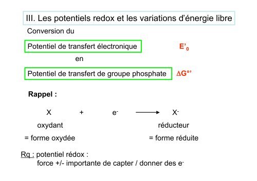 La Phosphorylation oxydative - IBMC