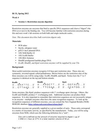 restriction enzyme digestion