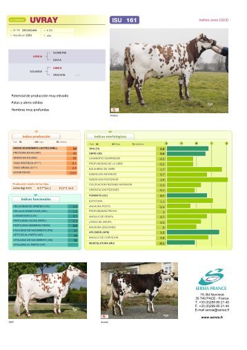 FICHE PRODUIT ESPAGNOLE - Sersia France