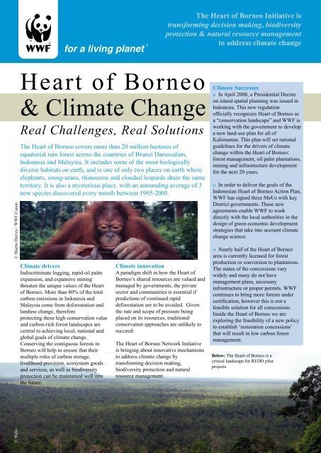 Heart of Borneo & Climate Change - Governors' Climate and Forests ...