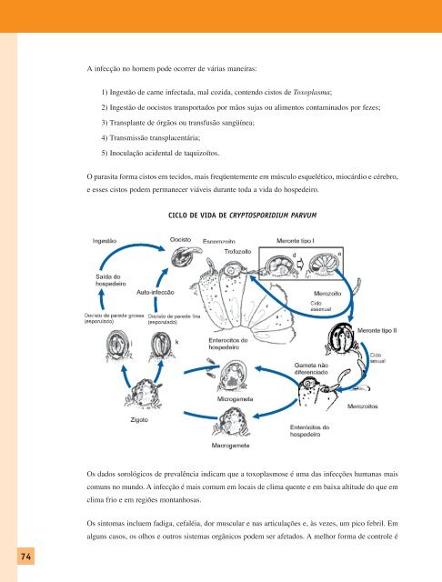 haccp - Inocuidade de Alimentos