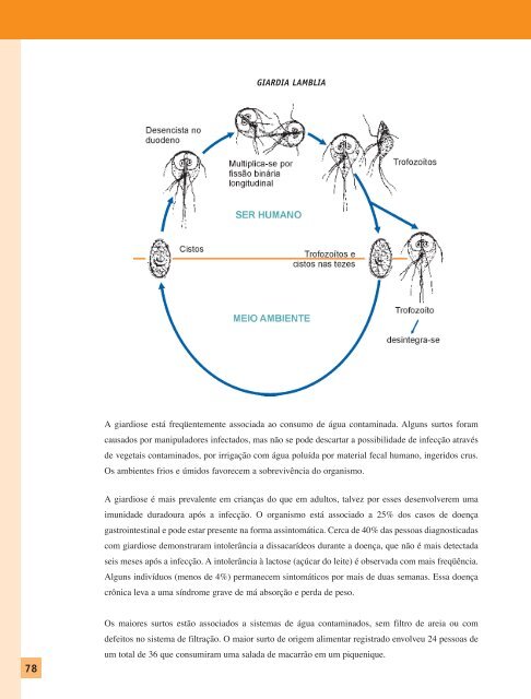 haccp - Inocuidade de Alimentos