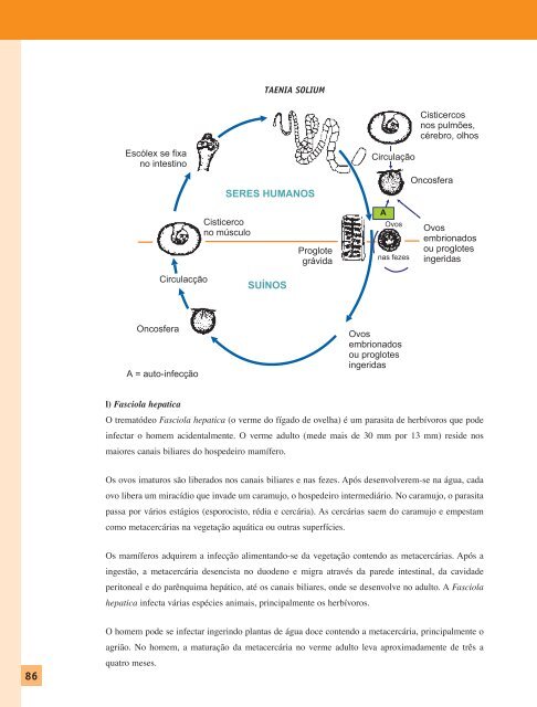 haccp - Inocuidade de Alimentos