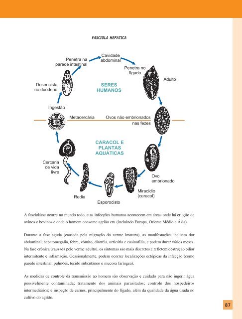 haccp - Inocuidade de Alimentos