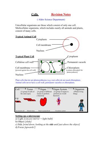 Cell Revision Notes