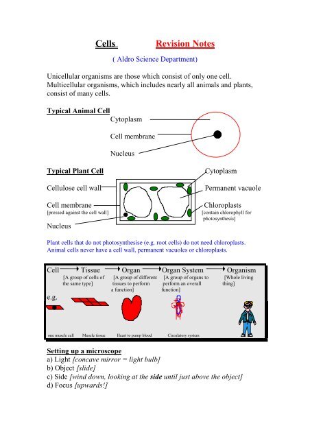 Cell Revision Notes