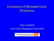 Economics of Bermuda Grass Production - UT Extension