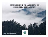 biodiversidad de la reserva de la biosfera sierra gorda - Ecosystem ...