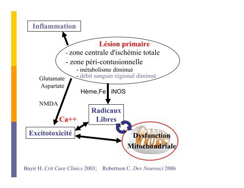 Trauma crânien sévère de l'enfant - CHU Sainte-Justine - SAAC